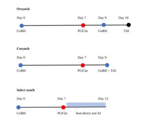 Ovsynch based protocols in reproductive management and infertility ...