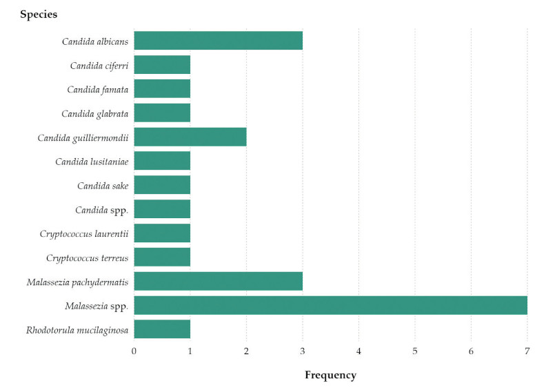 Figure03-First-description